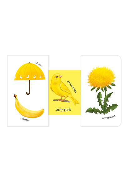 Книжки - задвижки. Какой это цвет?