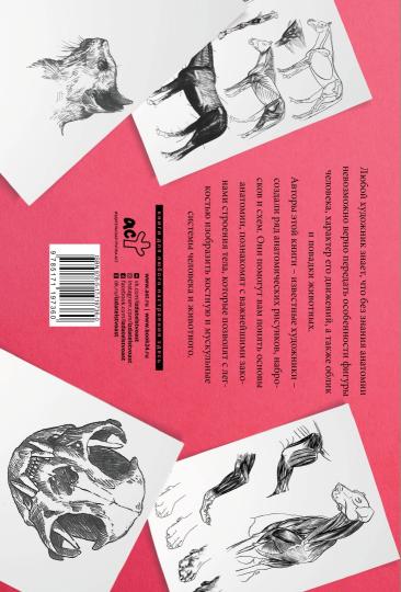 Анатомия для художников. Альбом для скетчинга