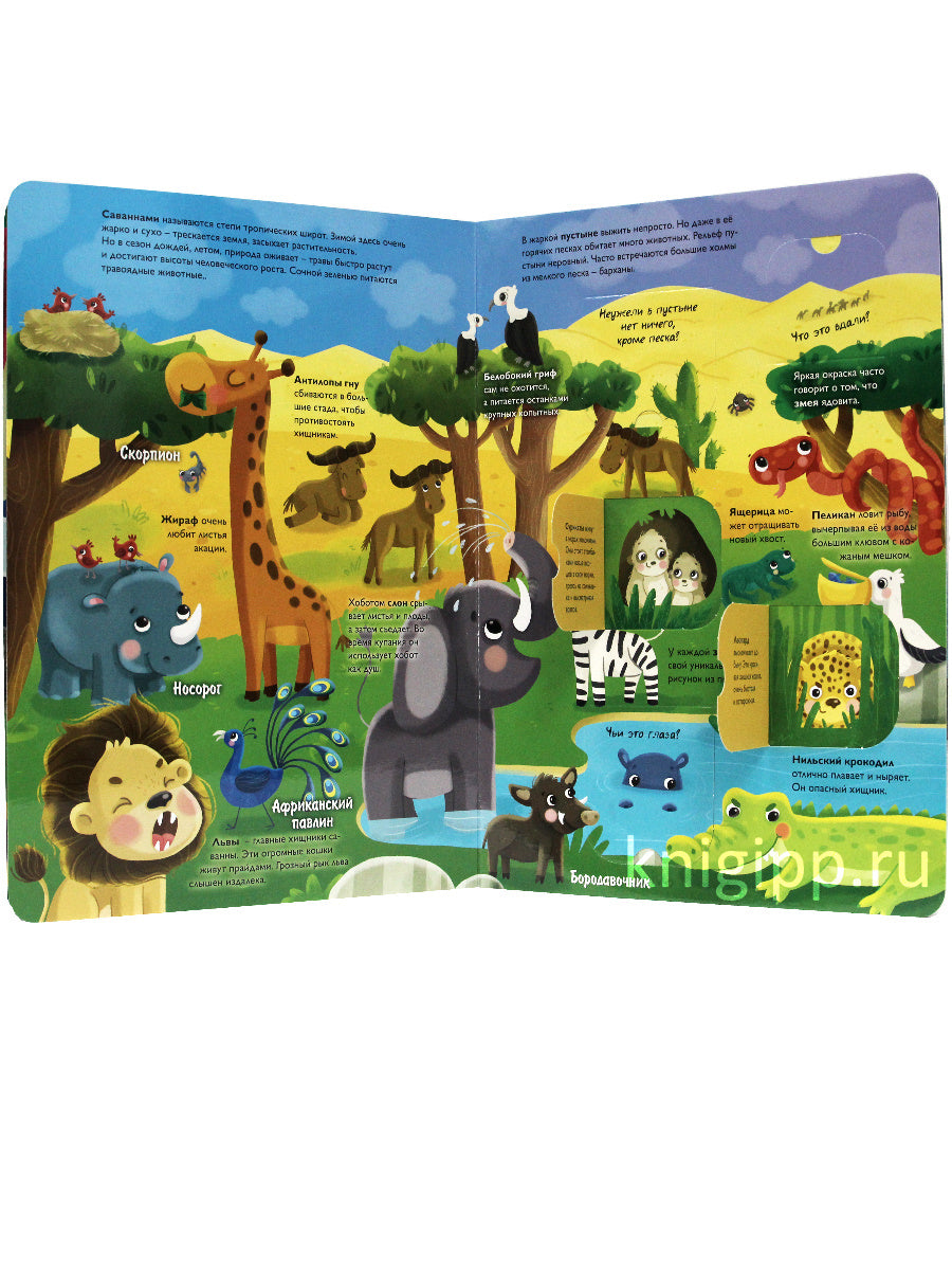 КНИЖКА С ОКОШКАМИ 235х315. ЖИВОТНЫЕ
