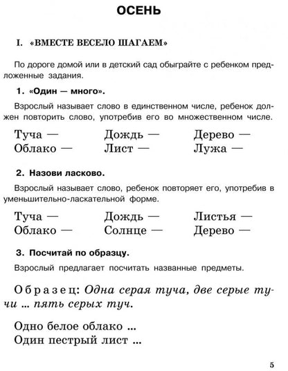 Домашний тренажер от логопеда. Развитие речи ребенка 4-6 лет