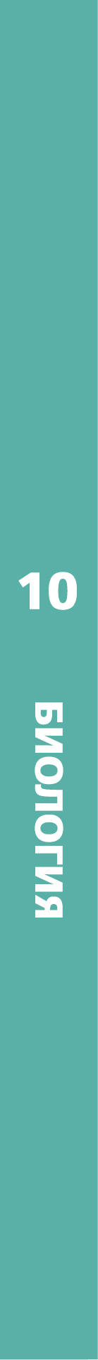 Биология. 10 класс. Базовый уровень. Учебник.