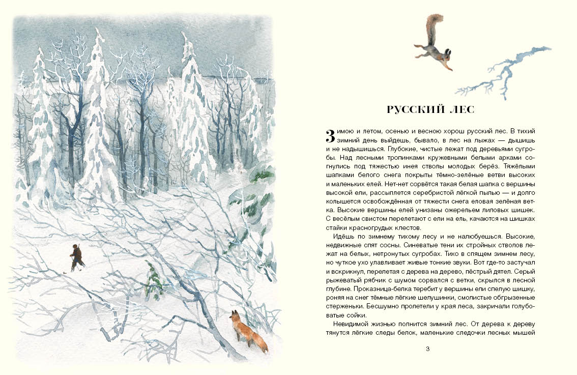 Русский лес. Соколов-Микитов И.С.