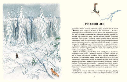 Русский лес. Соколов-Микитов И.С.