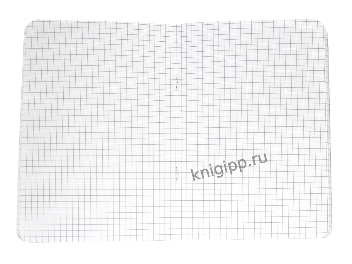 MyArt. БЛОКНОТ в клетку Аниме Монохром. Смущение