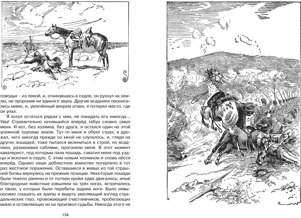 Чёрный Красавчик