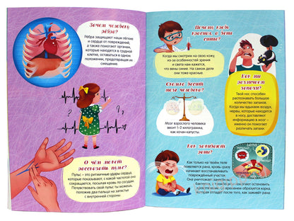 Атлас. Тело человека