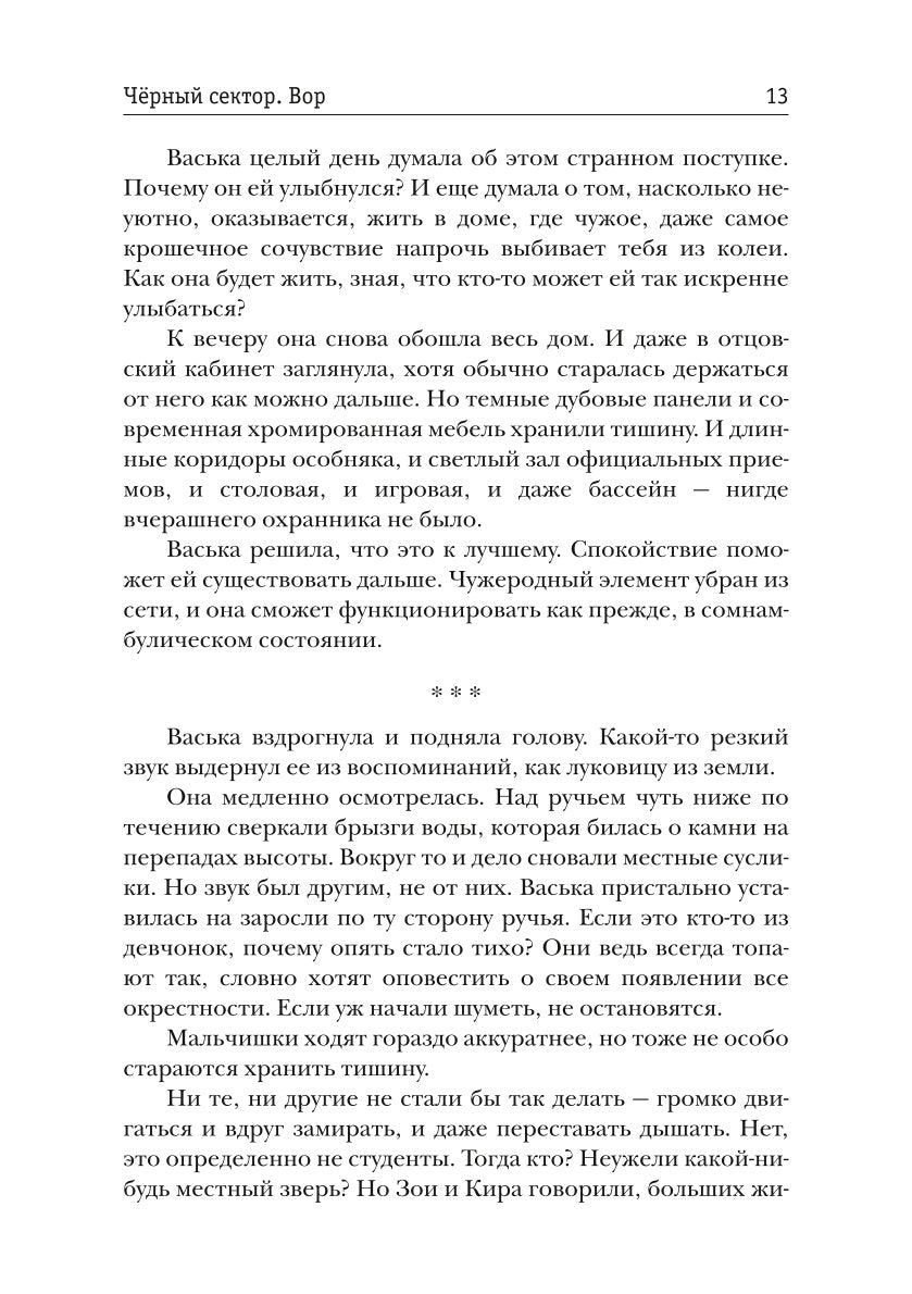 Черный сектор. Вор. Кн. 4