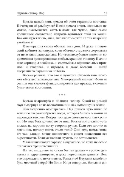 Черный сектор. Вор. Кн. 4