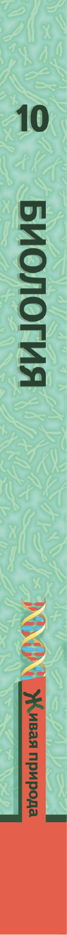 Биология. Базовый уровень. 10 класс. Учебник.