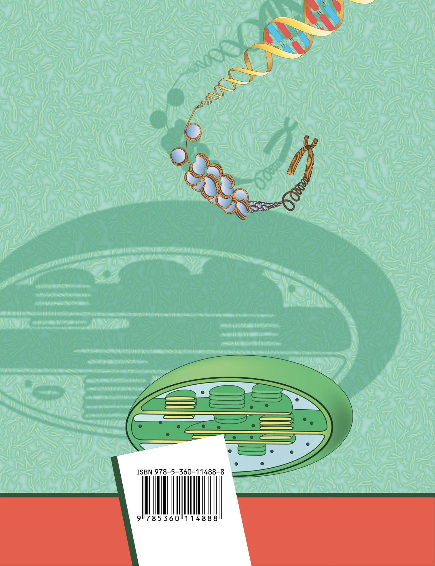 Биология. Базовый уровень. 10 класс. Учебник.