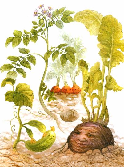 ВК Ботанические сказки