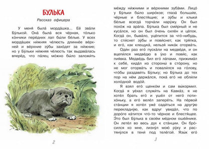 ЧС Акула. Рассказы