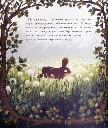 Вехтерович. Друзья навсегда. ДХЛ