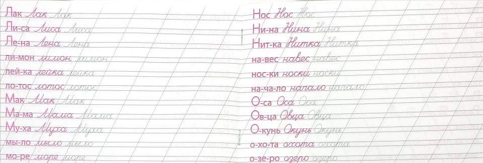 КАЛЛИГРАФИЧЕСКАЯ ПРОПИСЬ А5. альбомная. ПИШЕМ СЛОВА