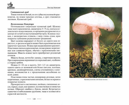 Советы выживания от сеньора Робинзона. Остаться в живых в экстремальных условиях. Добываем огонь, воду, пищу, кров…