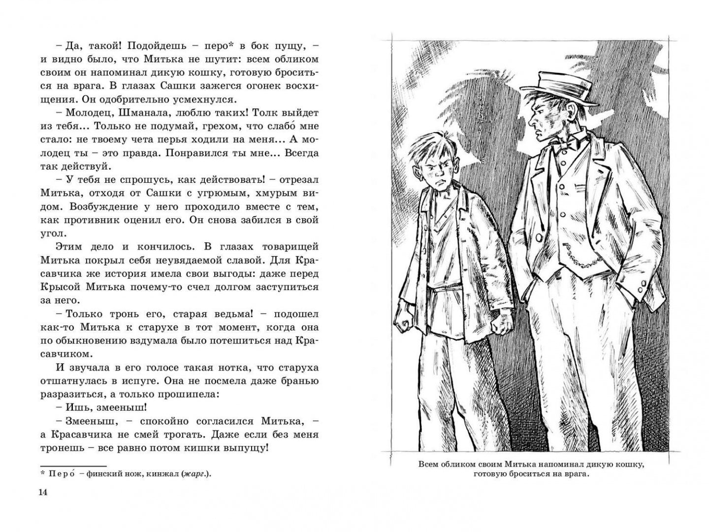 ДД Красавчик