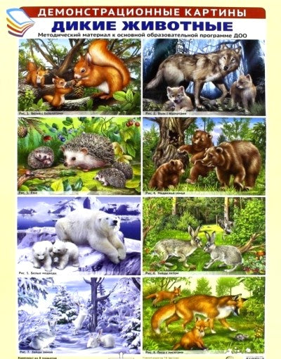 Демонстрационные картины А3. Дикие животные. Методический материал к основной образовательной программе ДОО (8 картин А3+, этикетка с текстом заданий на обороте)
