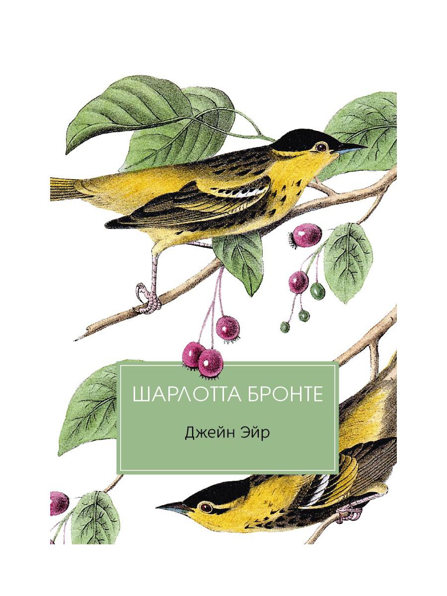 Джейн Эйр: роман