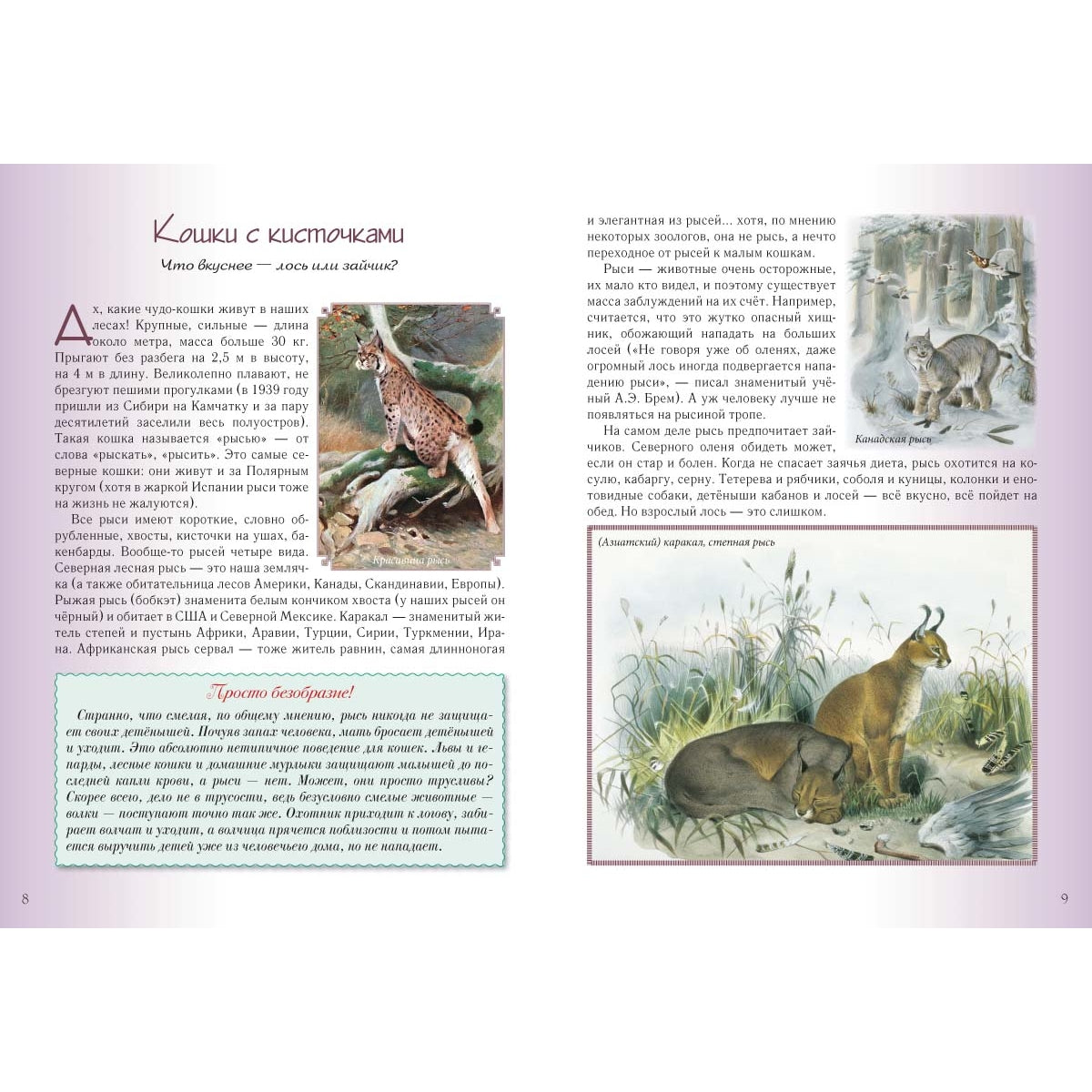 Кошки и собаки. Знакомые и неизвестные
