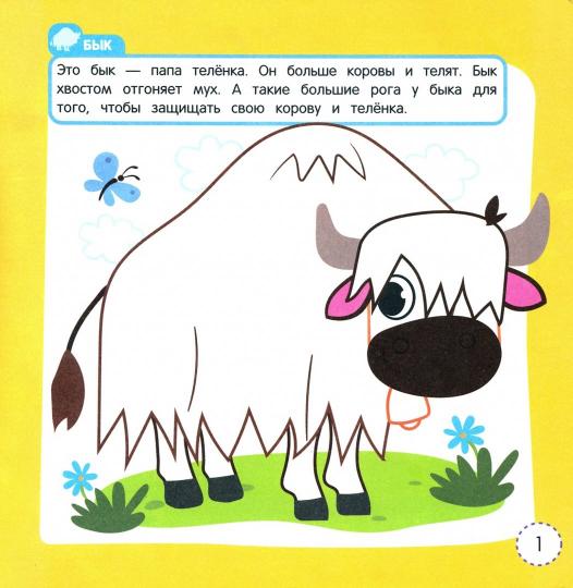 Домашние животные:книжка-раскраска