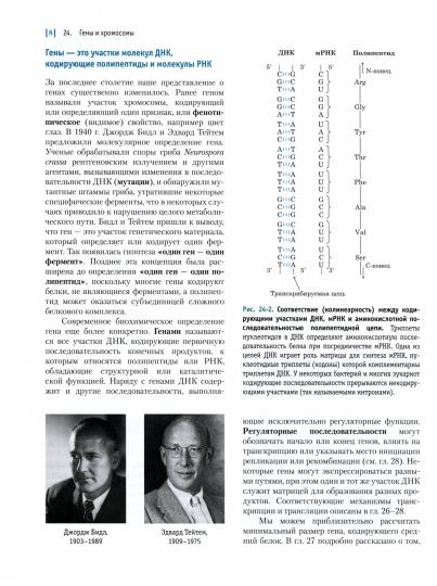 Основы биохимии Ленинджера: В 3 т. Т.3: Пути передачи информации. 3-е изд., испр. Нельсон Д.