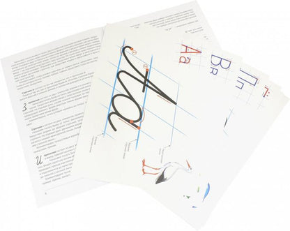 Учимся каллиграфии. Образцы написания РУССКИХ БУКВ (32 картинки А4 в картонной папке с методическими рекомендациями)