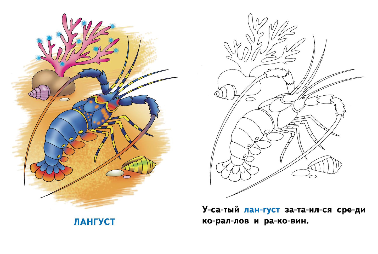 Раскрашиваем и читаем по слогам. Морские животные.
