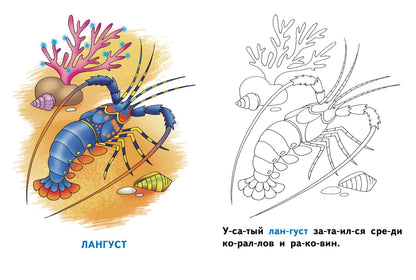 Раскрашиваем и читаем по слогам. Морские животные.