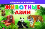 Обучающие карточки. Животные Азии. 3+.
