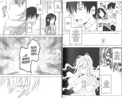 Торадора.Т.3.Тигр и Дракон +с/о