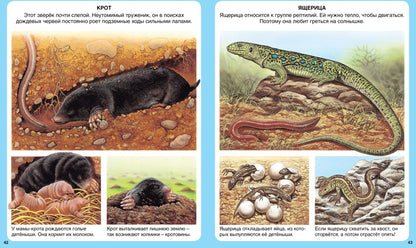 Животные (нов.оф.)