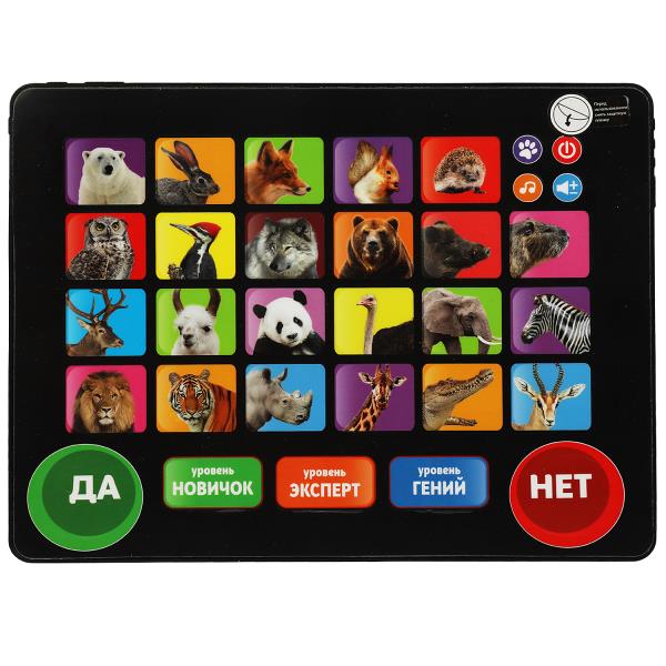 HX82015-R39 (40) Планшет все о мире животных Шаинский музыка обучающий планшет + кор./бат. Умка в ко