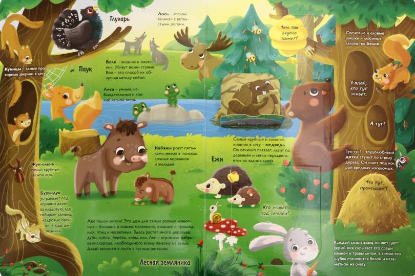 КНИЖКА С ОКОШКАМИ 235х315. ЖИВОТНЫЕ