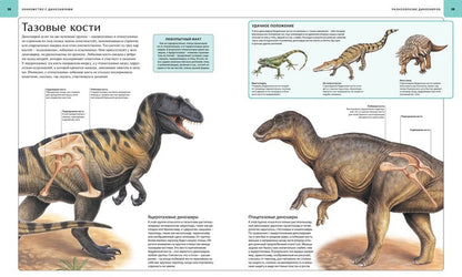 Les dinosaures. Atlas illustré