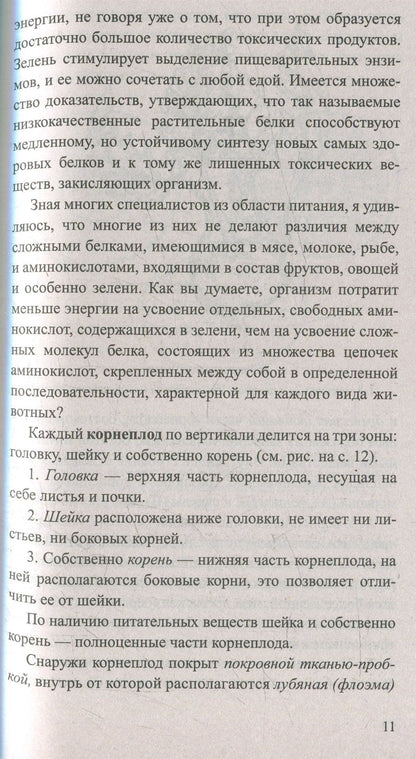 Редька. Мифы и реальность