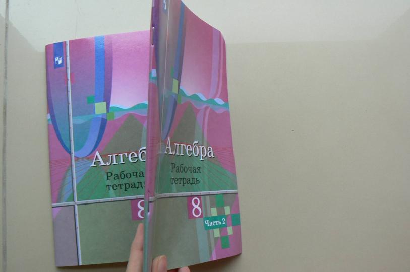 Алгебра 8кл ч2 [Рабочая тетрадь]