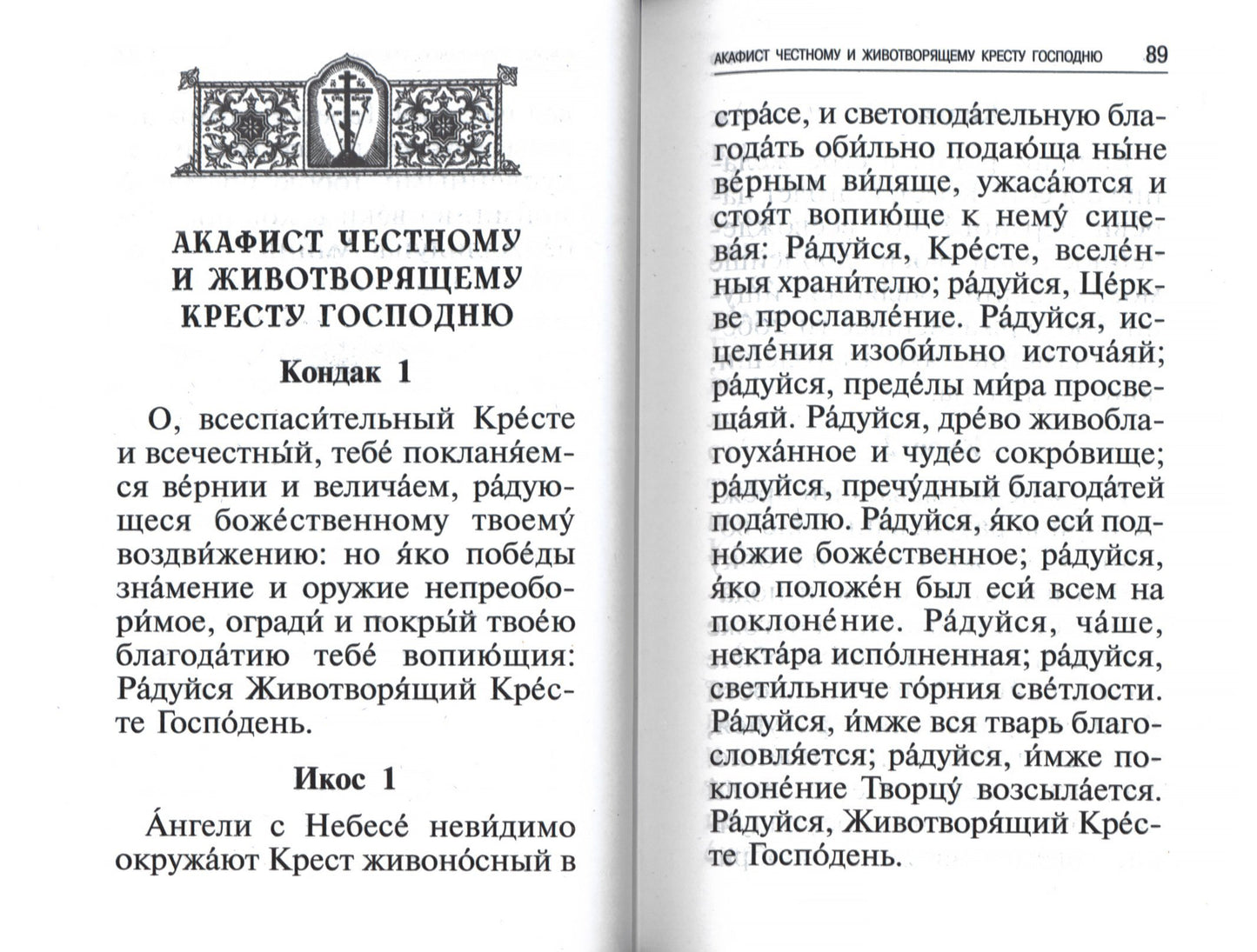 Les professeurs, les chefs des grands, les chefs et les autres