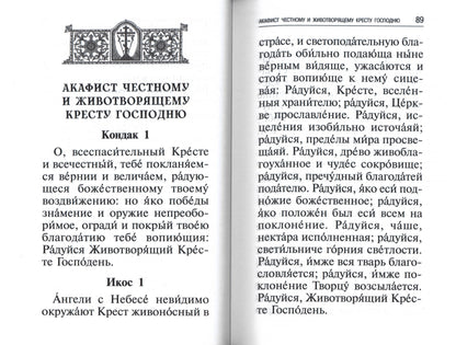 Les professeurs, les chefs des grands, les chefs et les autres