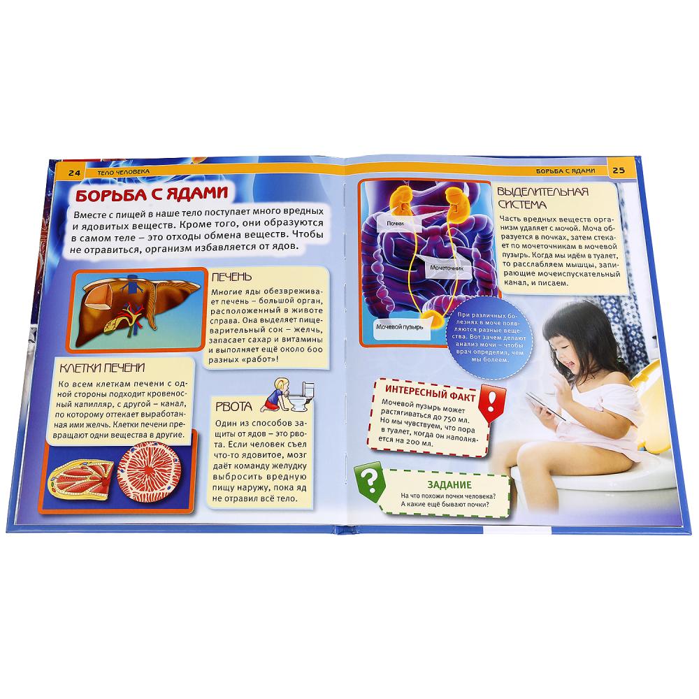 Тело человека. (Энциклопедия А4 с развивающими заданиями). Тв. переплет. 48стр. Умка в кор.15шт