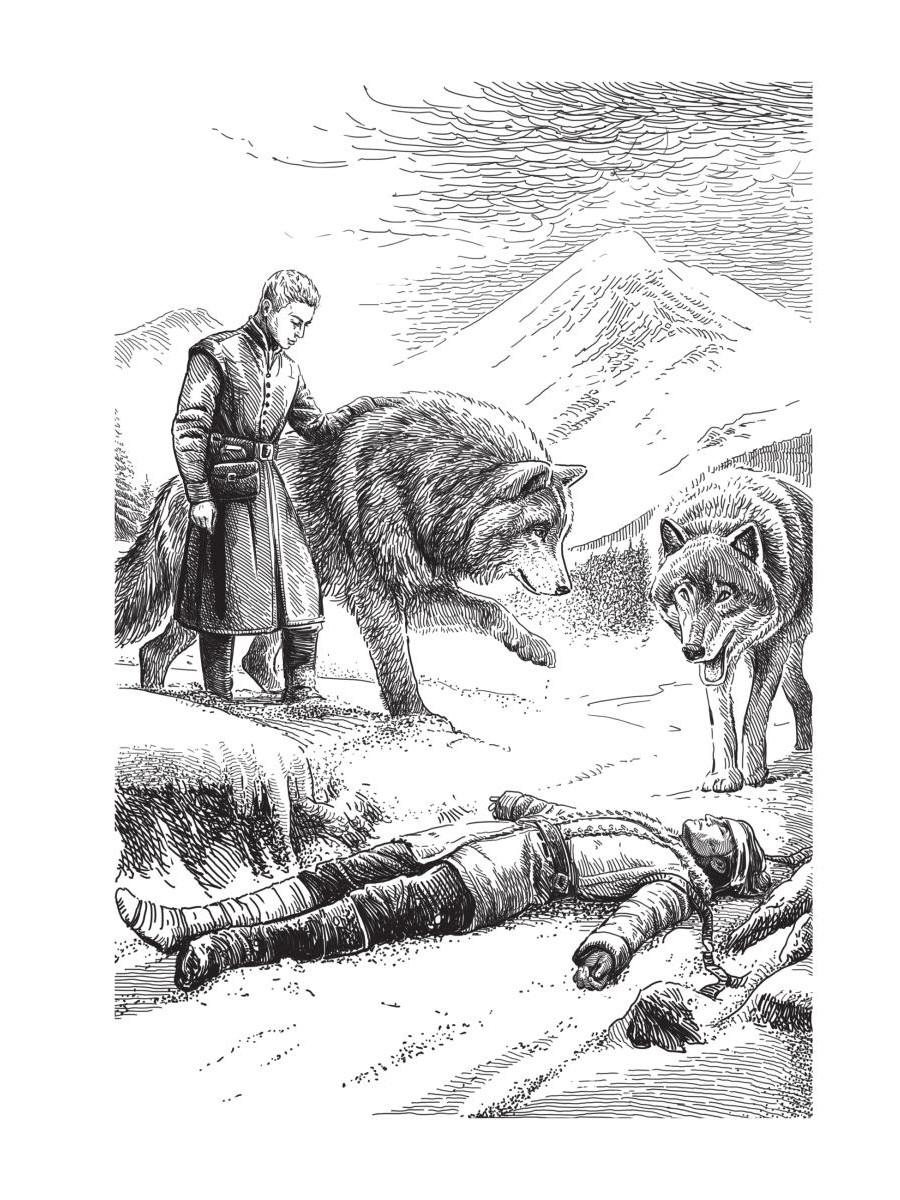 Мар. Слуга императора. Кн. 2: Щит императора