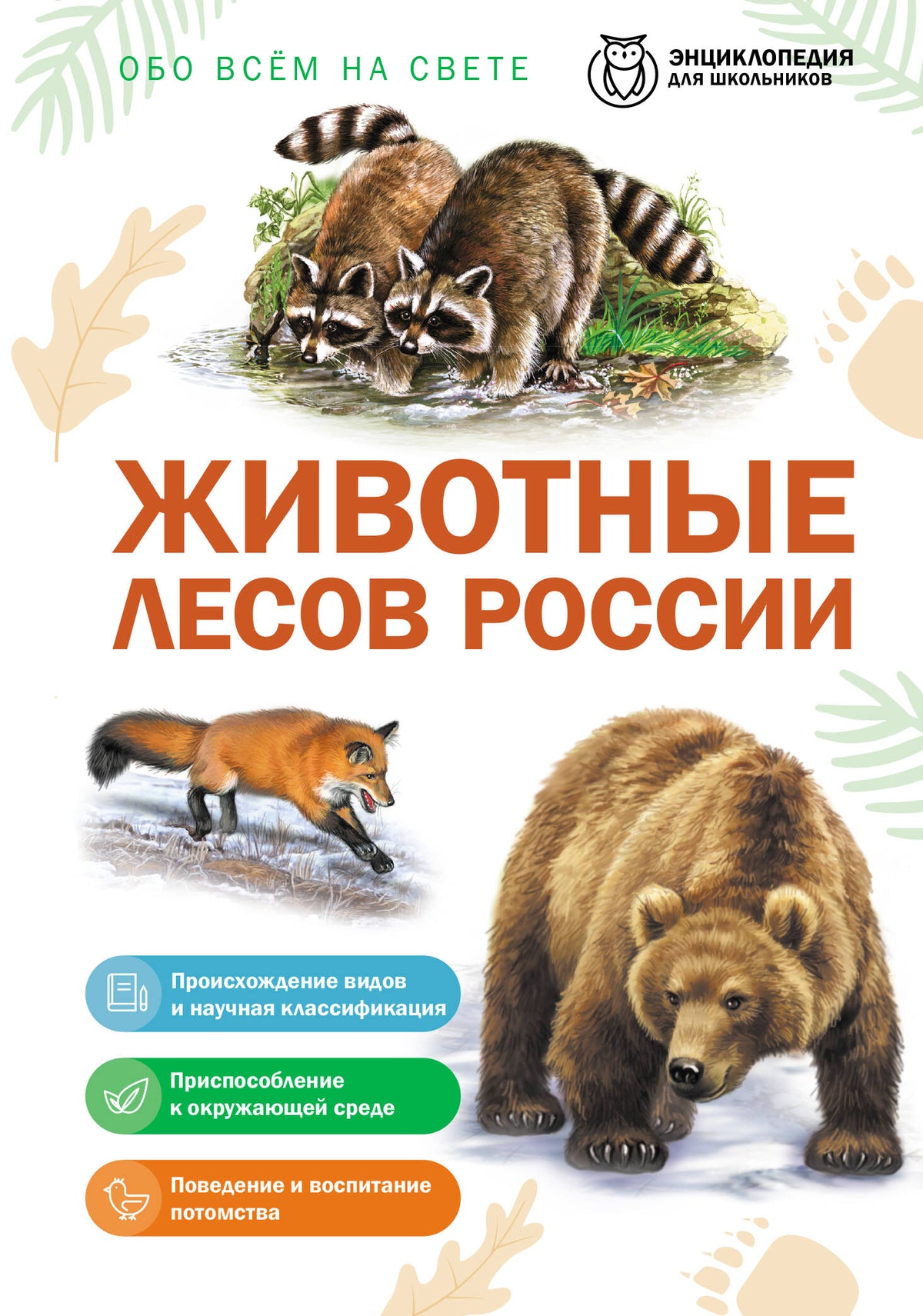 Животные лесов России