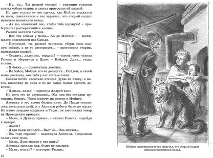 Рыжик (ожидается поступление)