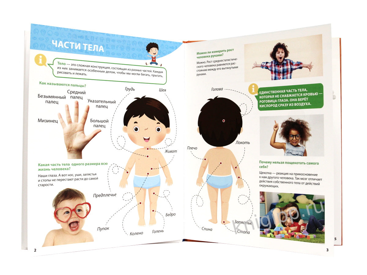 ПЕРВАЯ ДЕТСКАЯ ЭНЦИКЛОПЕДИЯ. ВСЁ О ТЕЛЕ ЧЕЛОВЕКА МАЛЫШАМ