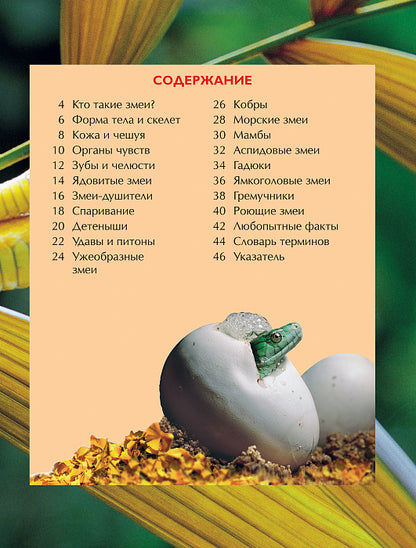 Oui. Детская энциклопедия