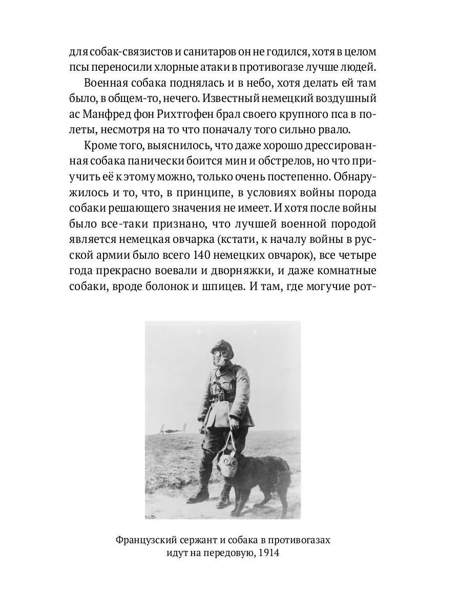 Собаки в городах. Жизнь собак в истории, искусстве и обществе