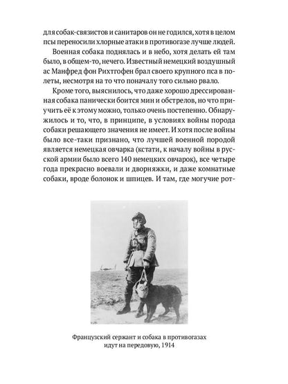 Собаки в городах. Жизнь собак в истории, искусстве и обществе