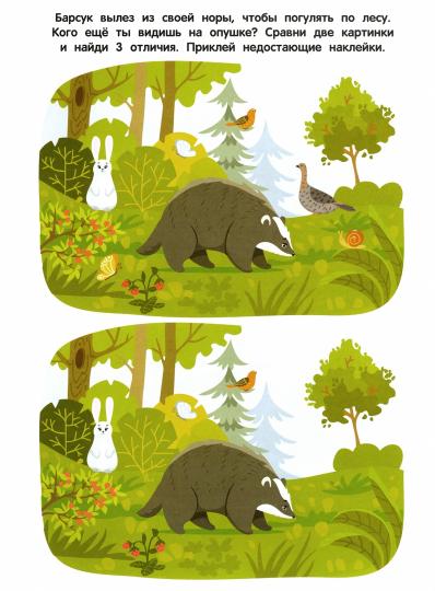 В лесу: книжка с наклейками
