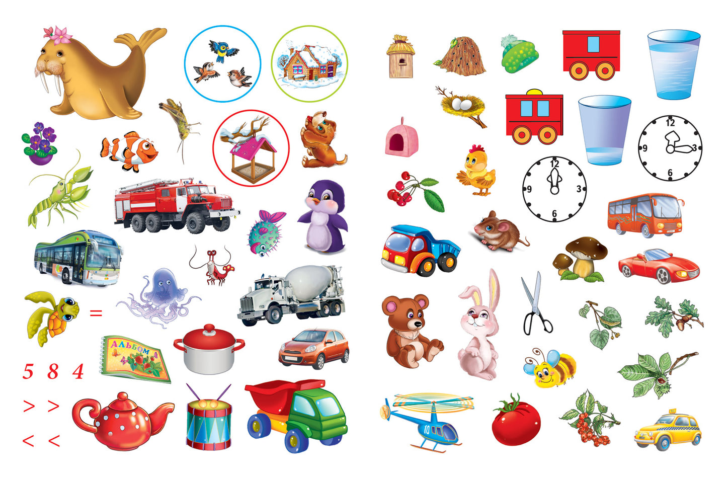 Тесты и прописи 5+