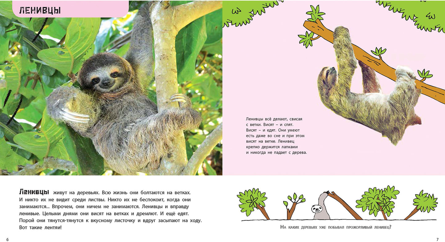 Кто самый-самый? Удивительные животные (ожидается поступление)