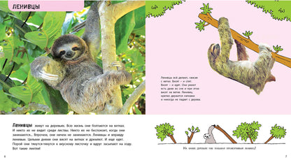 Кто самый-самый? Удивительные животные (ожидается поступление)